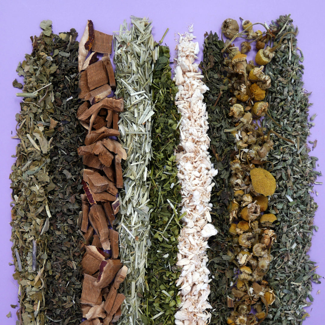 mushroom-tea-herbal-for-sleep-3.jpg